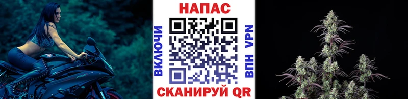 mega вход  закладки  Томилино  Шишки марихуана Ganja 